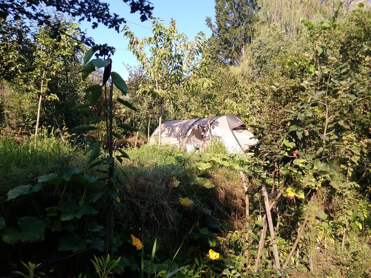 Camping Late Hotel Gjirokaster Exterior photo